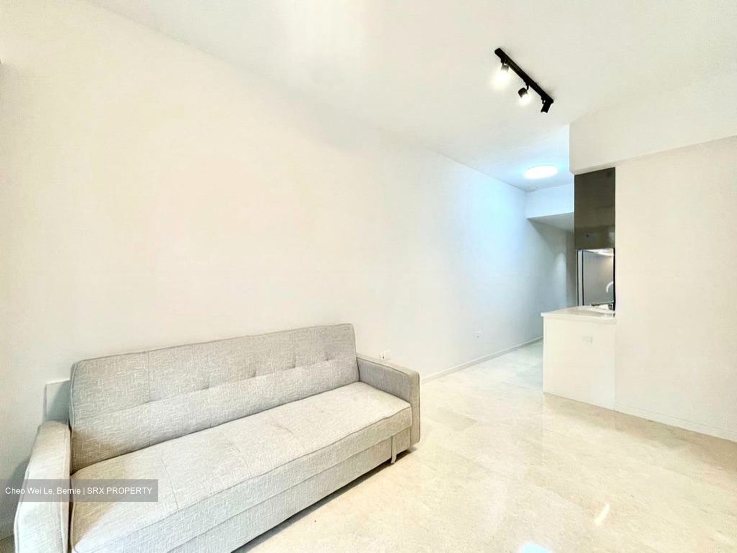 The Tre Ver (D13), Condominium #516949761
